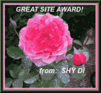 DIAward