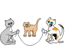 Cat's rope